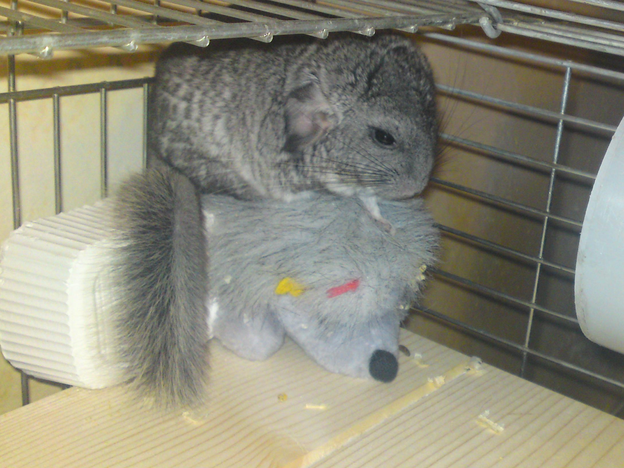 DSC01408