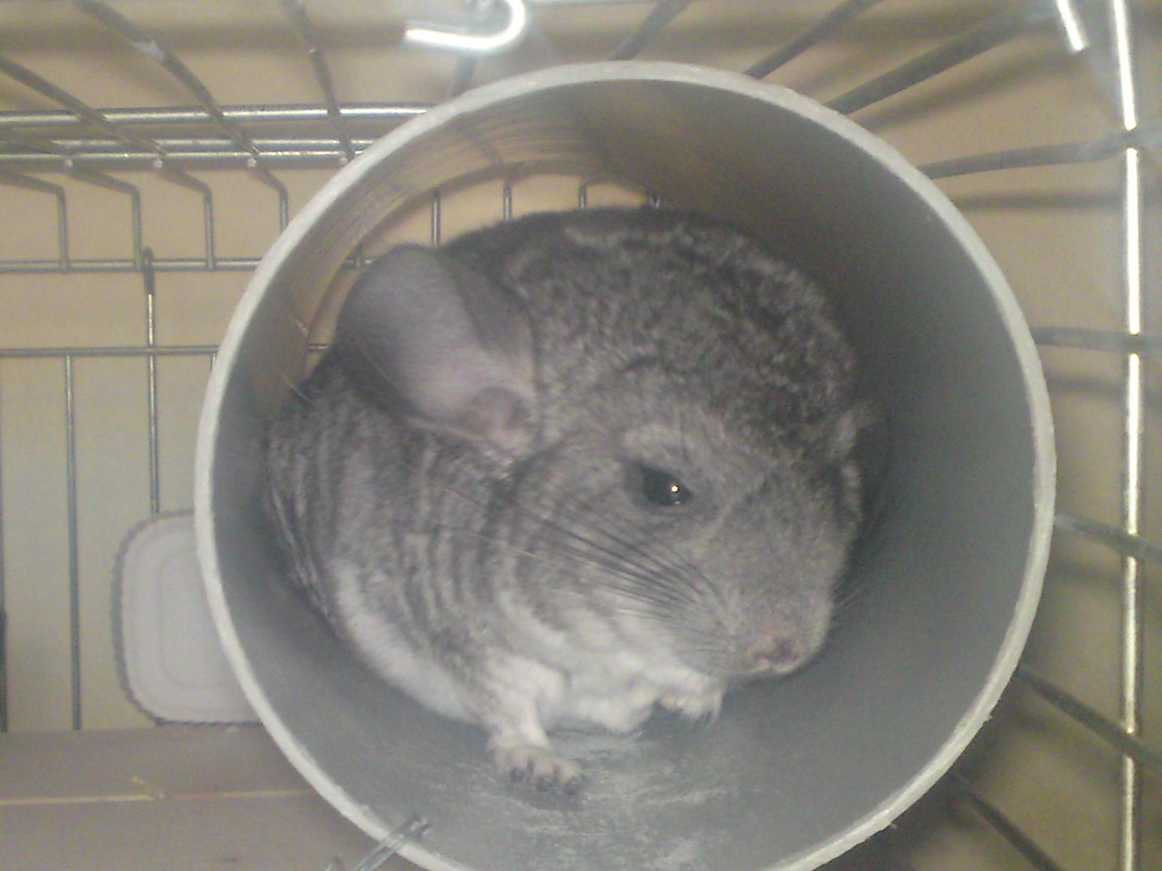 dsc01409